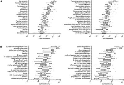 Metaproteomic Profile of the Colonic Luminal Microbiota From Patients With Colon Cancer